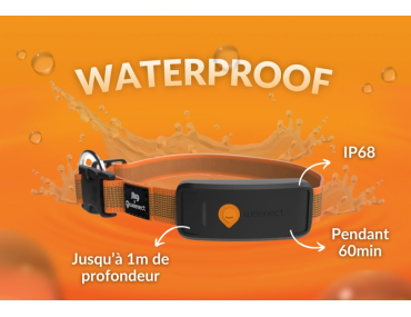WEENECT XT GPS Chien Orange
