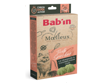 Moelleux pour chat a faire soi-même