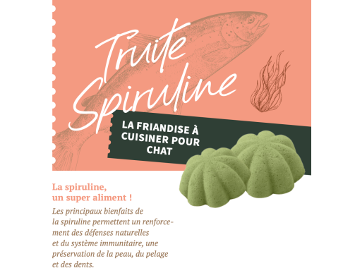 BABIN MOELLEUX CHAT TRUITE-SPIRULINE 150GR BABIN MOELLEUX CHAT TRUITE-SPIRULINE 150GR