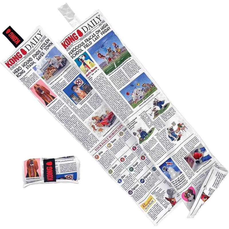 KONG DAILY NEWSPAPER XL
