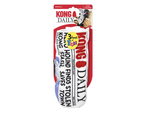 KONG DAILY NEWSPAPER XL