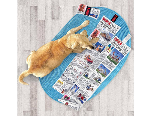 KONG DAILY NEWSPAPER XL