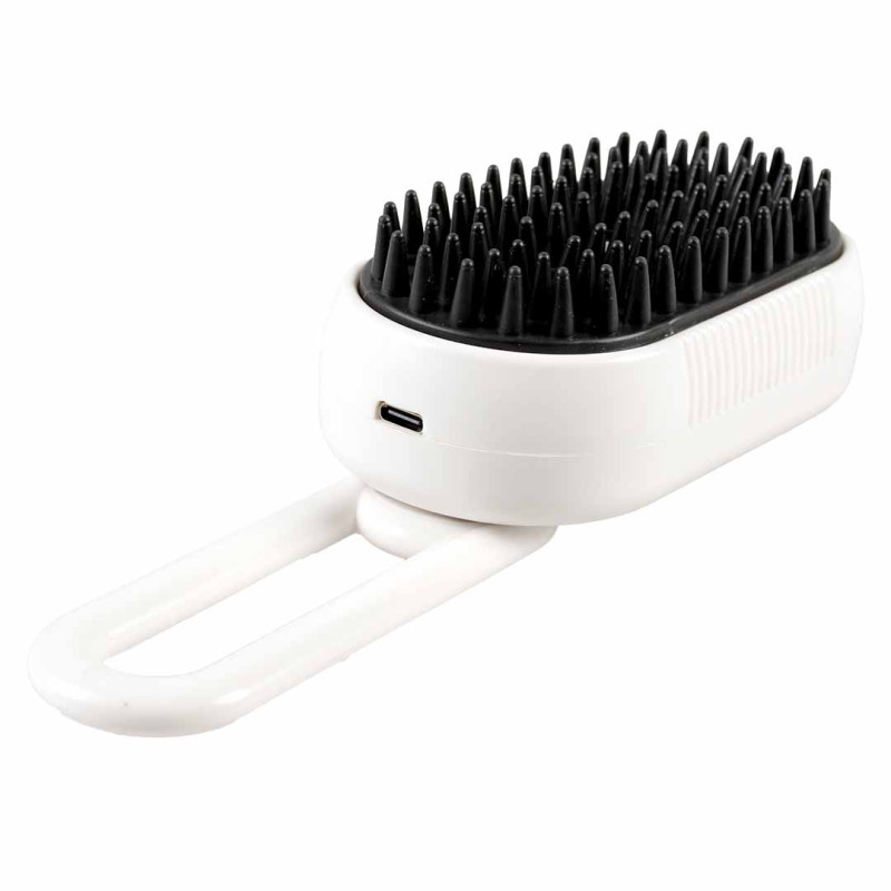 BROSSE A VAPEUR ET DE MASSAGE NOIRE