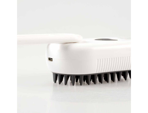 BROSSE A VAPEUR ET DE MASSAGE NOIRE