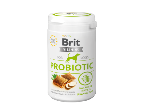 vitamines complément supplément pour chien probiotic