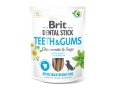 brit dentastick dents et gencives pour chien