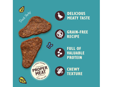 LILYS MINI FILET CANARD 70GR