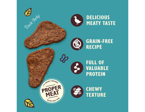LILYS MINI FILET CANARD 70GR