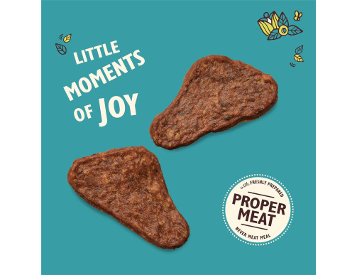 LILYS MINI FILET CANARD 70GR LILYS MINI FILET CANARD 70GR