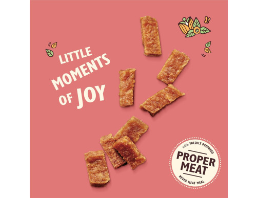 LILYS MINI BOUCHEES CHIOT POULET/SAUMON 70GR