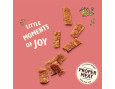 LILYS MINI BOUCHEES CHIOT POULET/SAUMON 70GR