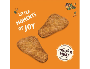 LILYS MINI JERKY POULET 70GR
