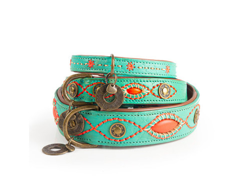 collier pour chien