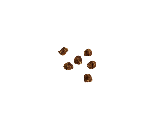 PEPITES DELAMOUR CANARD-ABRICOT-ALGUES 75GR PEPITES DELAMOUR CANARD-ABRICOT-ALGUES 75GR