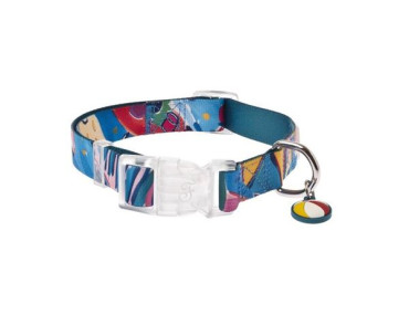 collier chien