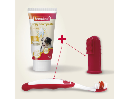 COMBI-PACK CHIOT DENTIFRICE+2 BROSSES A DENTS