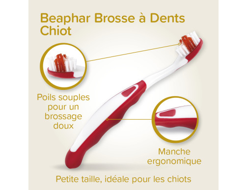 COMBI-PACK CHIOT DENTIFRICE+2 BROSSES A DENTS