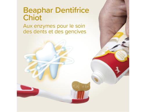 COMBI-PACK CHIOT DENTIFRICE+2 BROSSES A DENTS