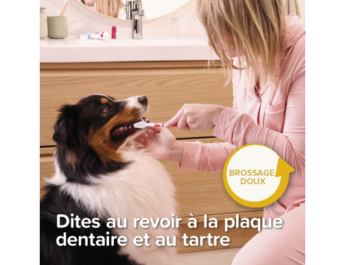 COMBI-PACK CHIOT DENTIFRICE+2 BROSSES A DENTS