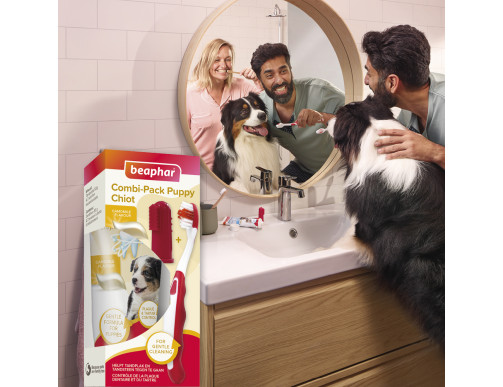 COMBI-PACK CHIOT DENTIFRICE+2 BROSSES A DENTS