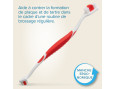 BROSSE A DENT 2 EMBOUTS
