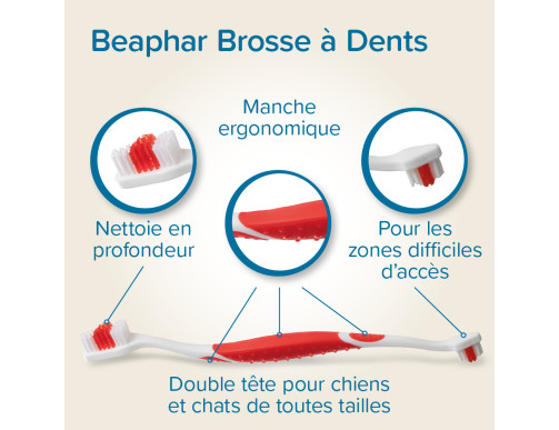 BROSSE A DENT 2 EMBOUTS BROSSE A DENT 2 EMBOUTS