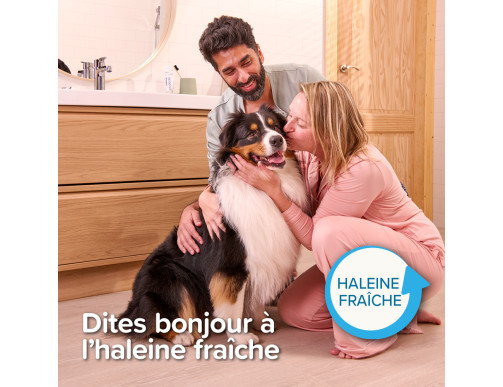 BROSSE A DENT 2 EMBOUTS BROSSE A DENT 2 EMBOUTS