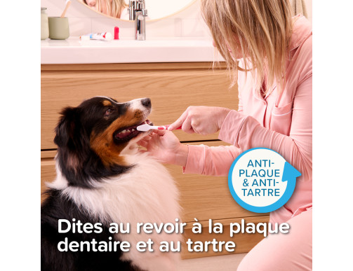 BROSSE A DENT 2 EMBOUTS BROSSE A DENT 2 EMBOUTS