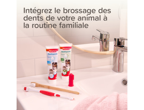 BROSSE A DENT 2 EMBOUTS BROSSE A DENT 2 EMBOUTS