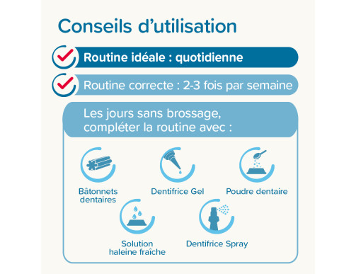 BROSSE A DENT 2 EMBOUTS BROSSE A DENT 2 EMBOUTS