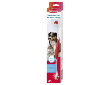 BROSSE A DENT 2 EMBOUTS