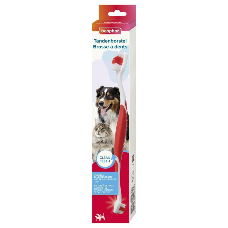 BROSSE A DENT 2 EMBOUTS BROSSE A DENT 2 EMBOUTS