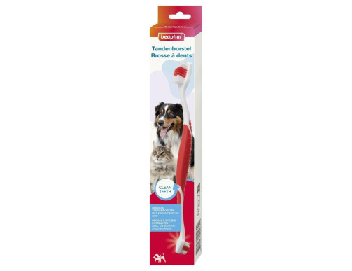 BROSSE A DENT 2 EMBOUTS BROSSE A DENT 2 EMBOUTS