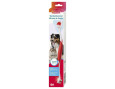 brosse à dent pour chien