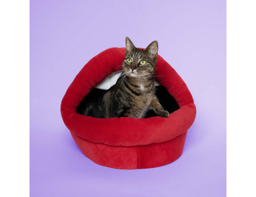 MAISON DE CHAT MEOW BOUCHE ROUGE