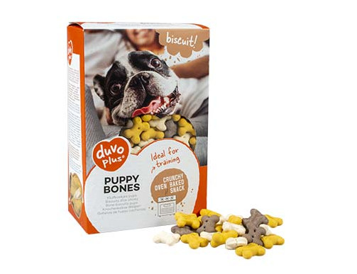 biscuit chien