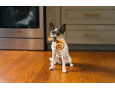 PLAY BARKING PUP CUP CAFE CINNA-BONE MINI