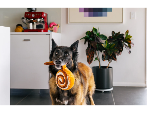 PLAY BARKING PUP CUP CAFE CINNA-BONE MINI