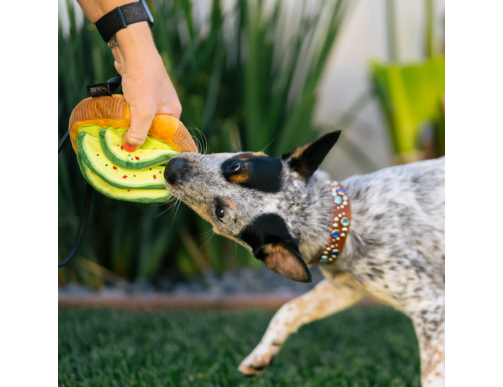 JOUET BRUNCH AVOCADO TOAST JOUET BRUNCH AVOCADO TOAST