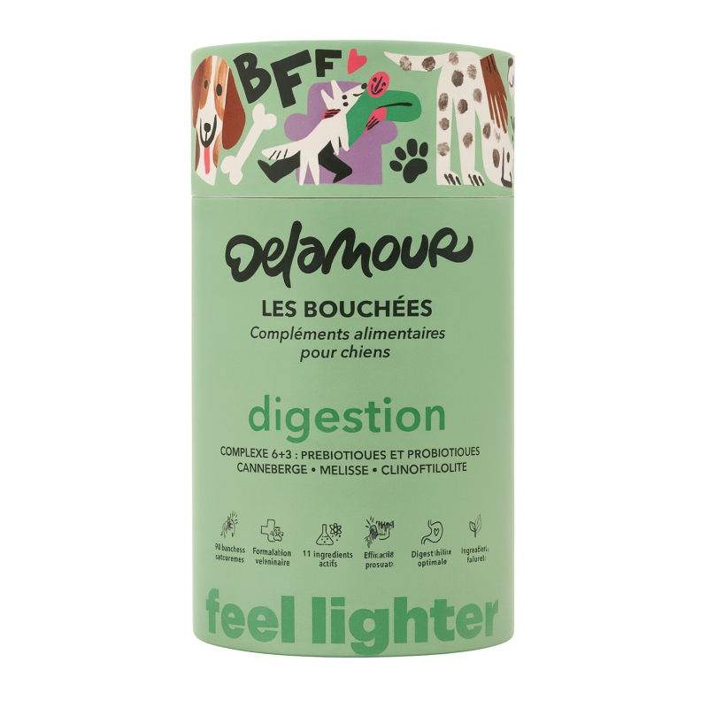LES BOUCHEES DELAMOUR DIGESTION 270GR