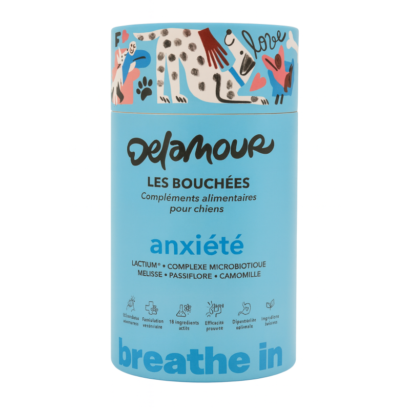 LES BOUCHEES DELAMOUR ANXIETE 270GR