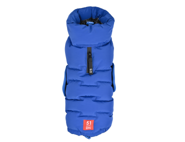 doudoune pour chien bleu électrique col north face