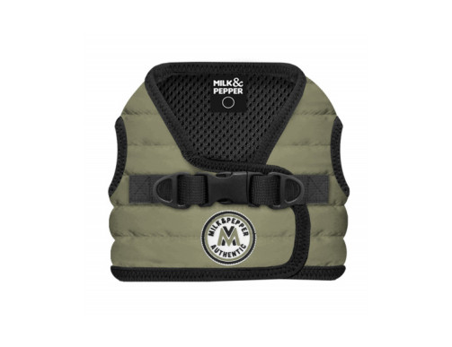 harnais pour petit chien kaki