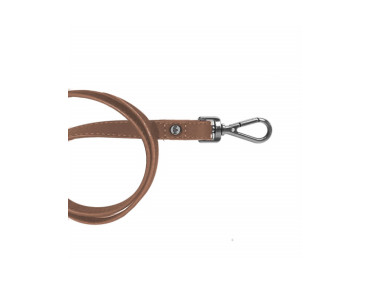 laisse pour chien marron simili cuir
