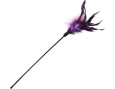 canne à pêche violet noir halloween peur chat