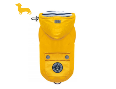 imperméable ciré pour chien jaune teckel