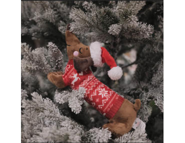 Teckel Christmas Best - Noël