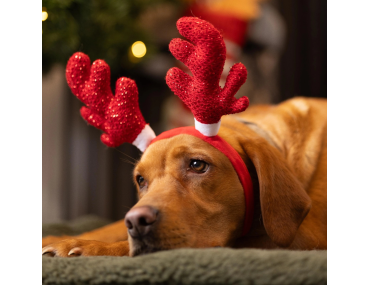 SERRE TETE RENNES RED SPARKLE -NOEL