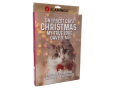 calendrier, avent, chat, noël, friandises, flamingo, cadeau