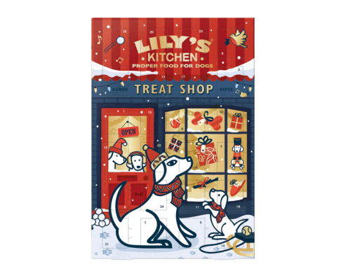 calendrier de l'avent chien Noël fête